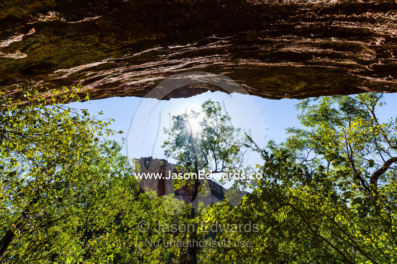 Looking up at the sky from an Aboriginal rock art gallery through a tree canopy. Burrunggui, Nourlangie Rock, Arnhem Land, Kakadu National Park, Northern Territory, Australia.