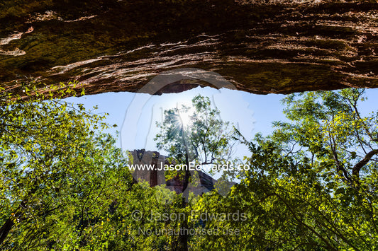 Looking up at the sky from an Aboriginal rock art gallery through a tree canopy. Burrunggui, Nourlangie Rock, Arnhem Land, Kakadu National Park, Northern Territory, Australia.