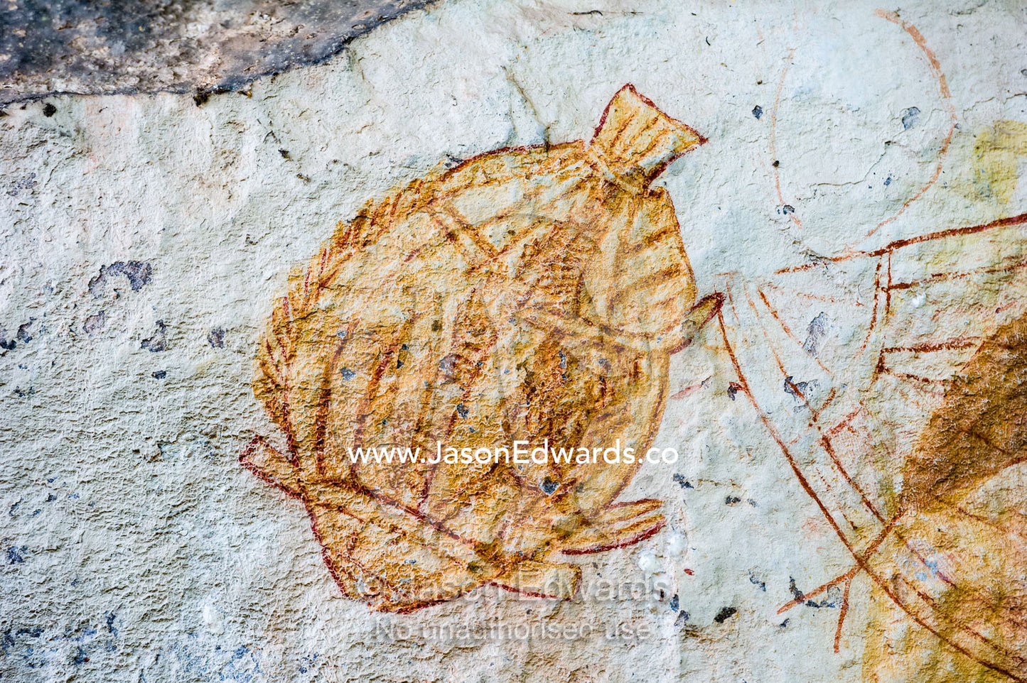 An Aboriginal rock painting art gallery featuring Black Bream and Sooty Grunter fish. Ubirr, Kakadu National Park, Northern Territory, Australia.