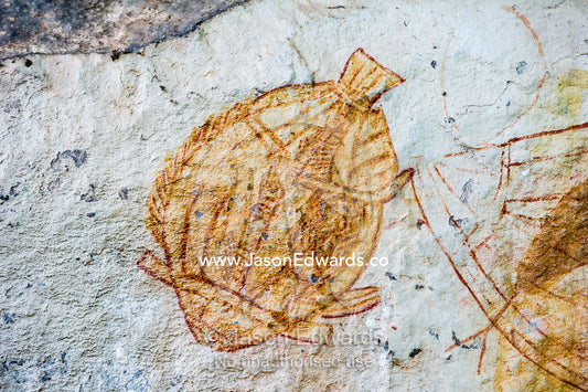 An Aboriginal rock painting art gallery featuring Black Bream and Sooty Grunter fish. Ubirr, Kakadu National Park, Northern Territory, Australia.