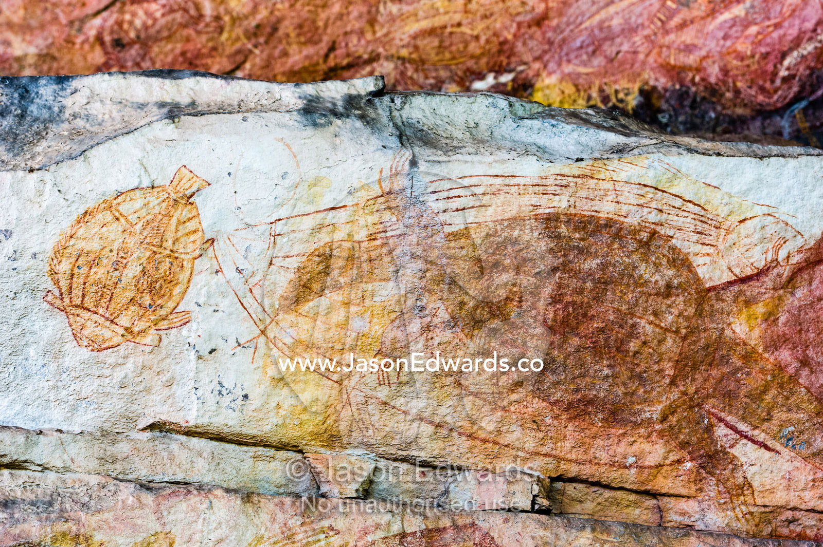 An Aboriginal x-ray rock painting art gallery featuring Black Bream and Sooty Grunter fish. Ubirr, Kakadu National Park, Northern Territory, Australia.