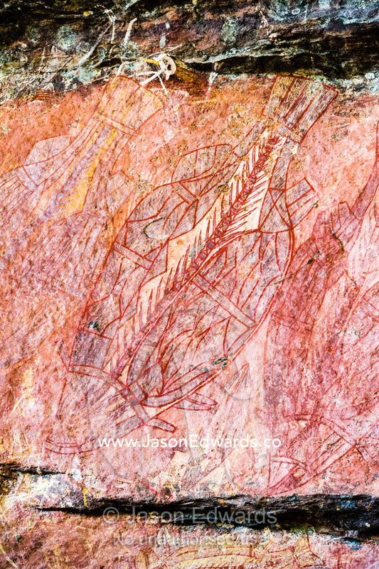 An Aboriginal x-ray rock painting art gallery featuring a Barramundi fish. Ubirr, Kakadu National Park, Northern Territory, Australia.