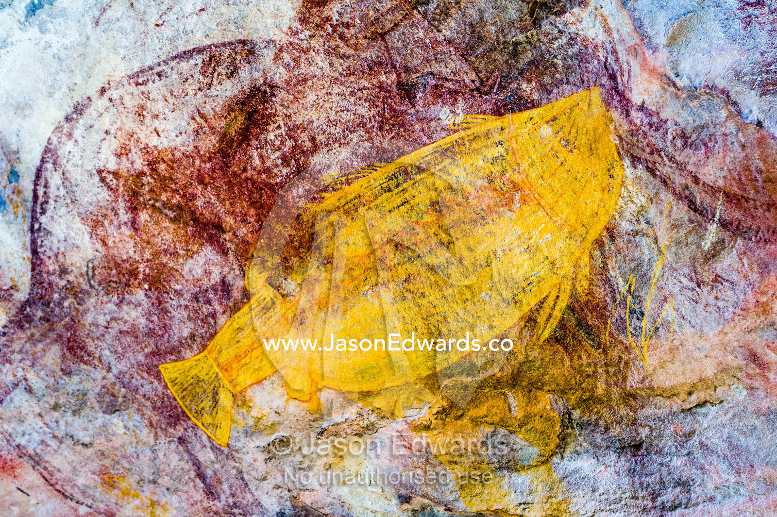 An Aboriginal x-ray rock painting art gallery featuring a Saratoga fish. Ubirr, Kakadu National Park, Northern Territory, Australia.