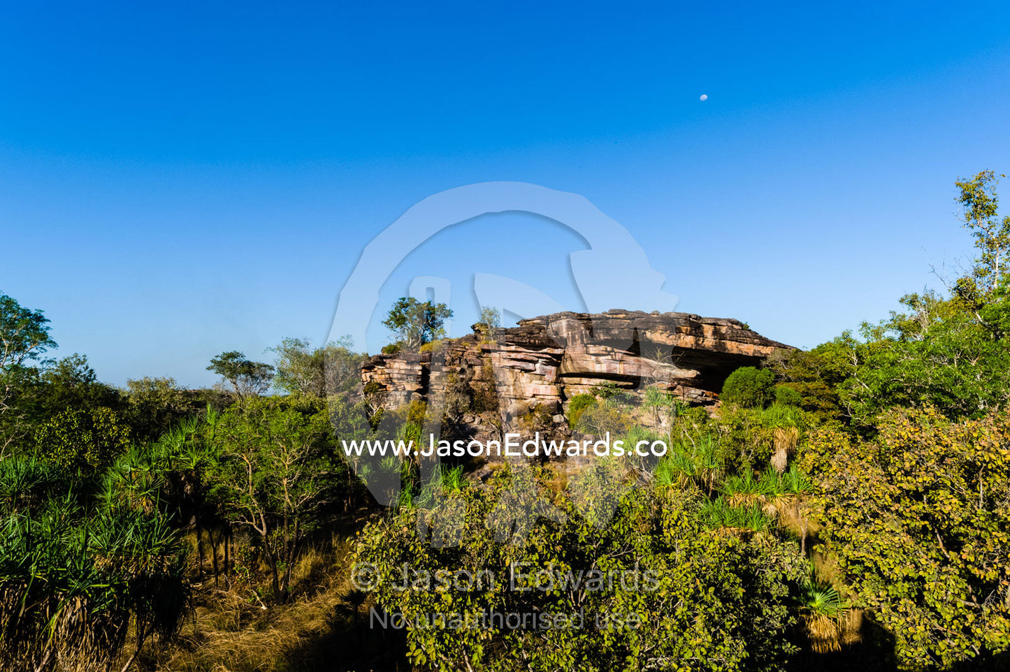 Pandanus surrounding rugged sandstone escarpment overlooking a floodplain at sunset. Ubirr, Nadab floodplain, Kakadu National Park, Northern Territory, Australia.