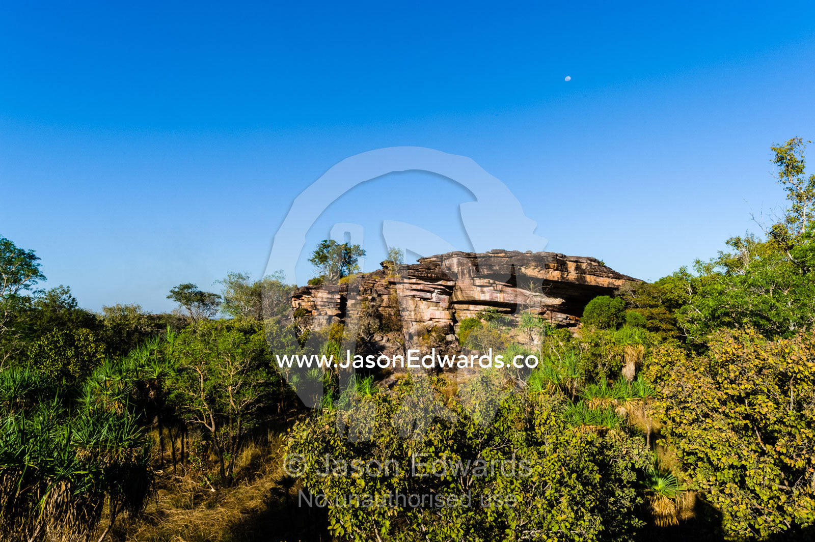 Pandanus surrounding rugged sandstone escarpment overlooking a floodplain at sunset. Ubirr, Nadab floodplain, Kakadu National Park, Northern Territory, Australia.