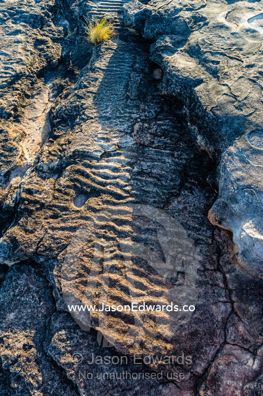 Ripple marks also known as ripple stone in a Kombolgie sandstone rock formation. Ubirr, Kakadu National Park, Northern Territory, Australia.