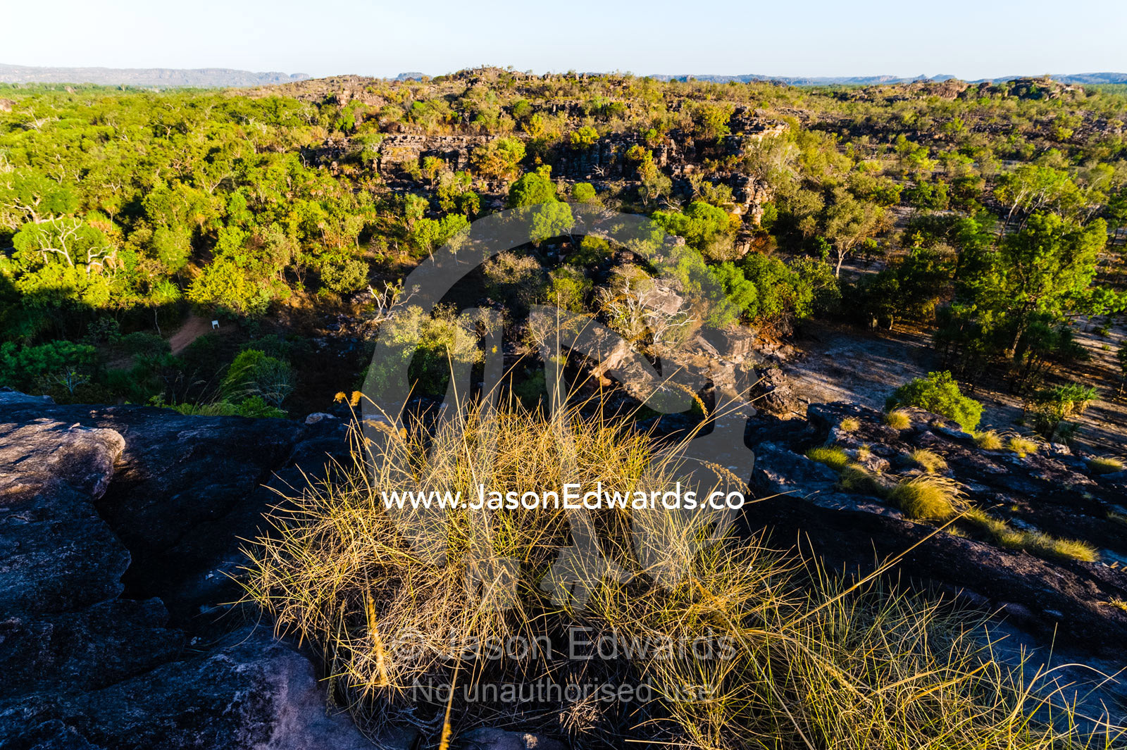 A Spinifex colony overlooking a rugged Kombilgie sandstone stone country at sunset Ubirr, Kakadu National Park, Northern Territory, Australia.
