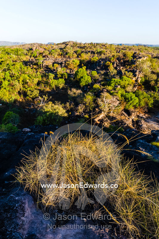 A Spinifex colony overlooking a rugged Kombilgie sandstone stone country at sunset Ubirr, Kakadu National Park, Northern Territory, Australia.
