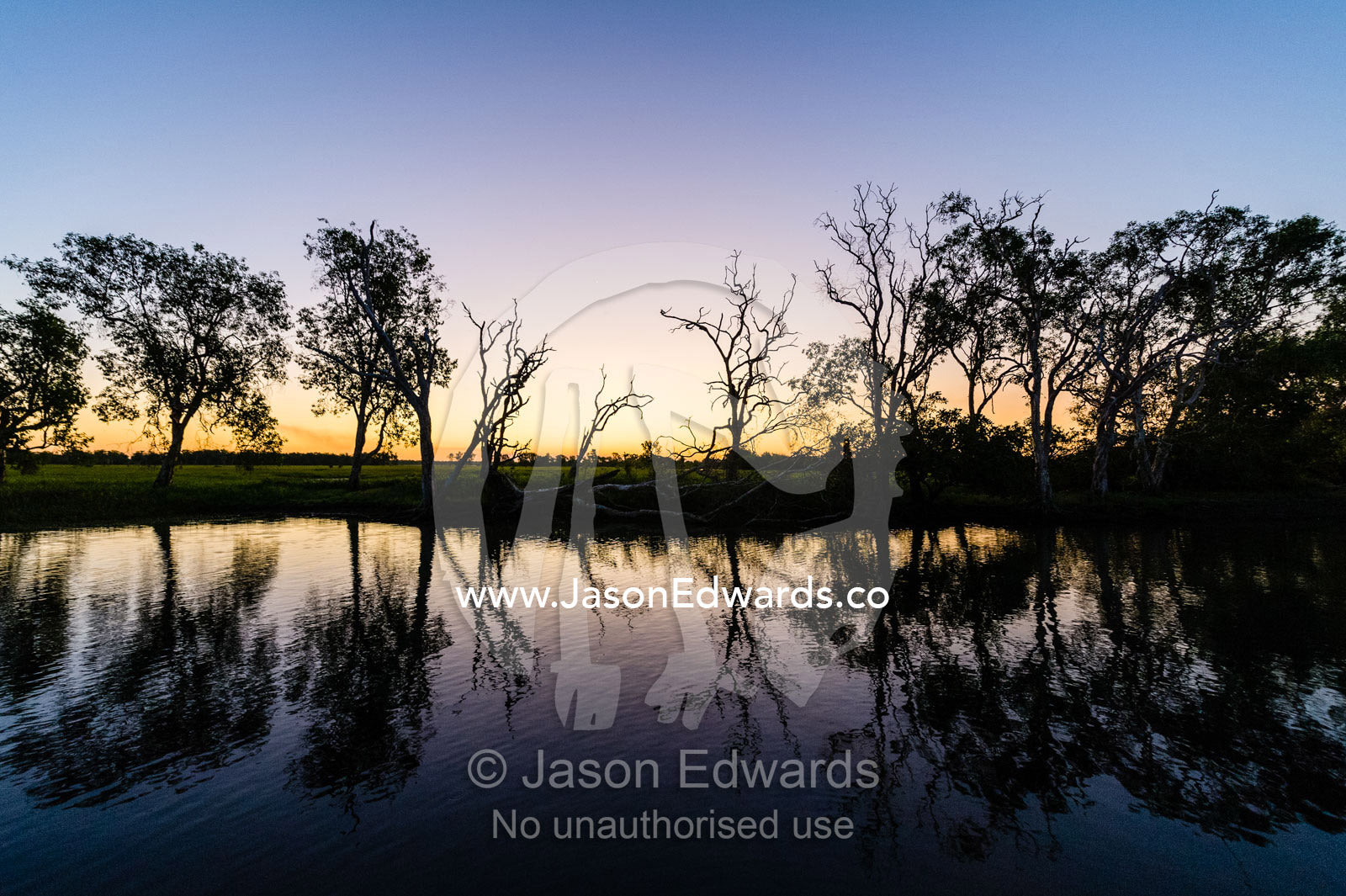 A tranquil row of trees along the shore of a wetland silhouette at sunset. Yellow Water Billabong, Cooinda, Kakadu National Park, Northern Territory, Australia.