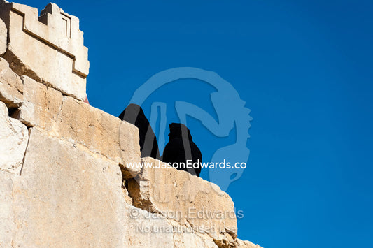 Women dressed in chador resting in the ancient ruins of Persepolis. Persepolis, Shiraz, Fars Province, Islamic Republic of Iran.