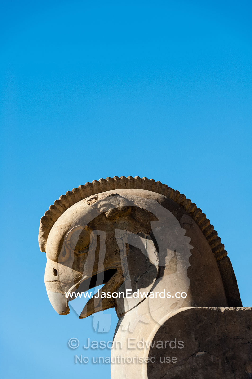 The magnificent features of a griffin carved in stone at Persepolis. Persepolis, Shiraz, Fars Province, Islamic Republic of Iran.