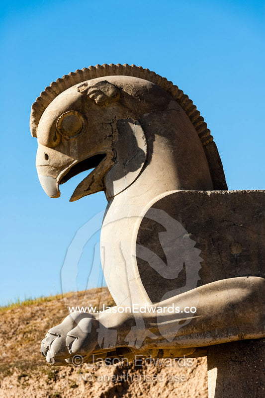 The magnificent features of a griffin carved in stone at Persepolis. Persepolis, Shiraz, Fars Province, Islamic Republic of Iran.