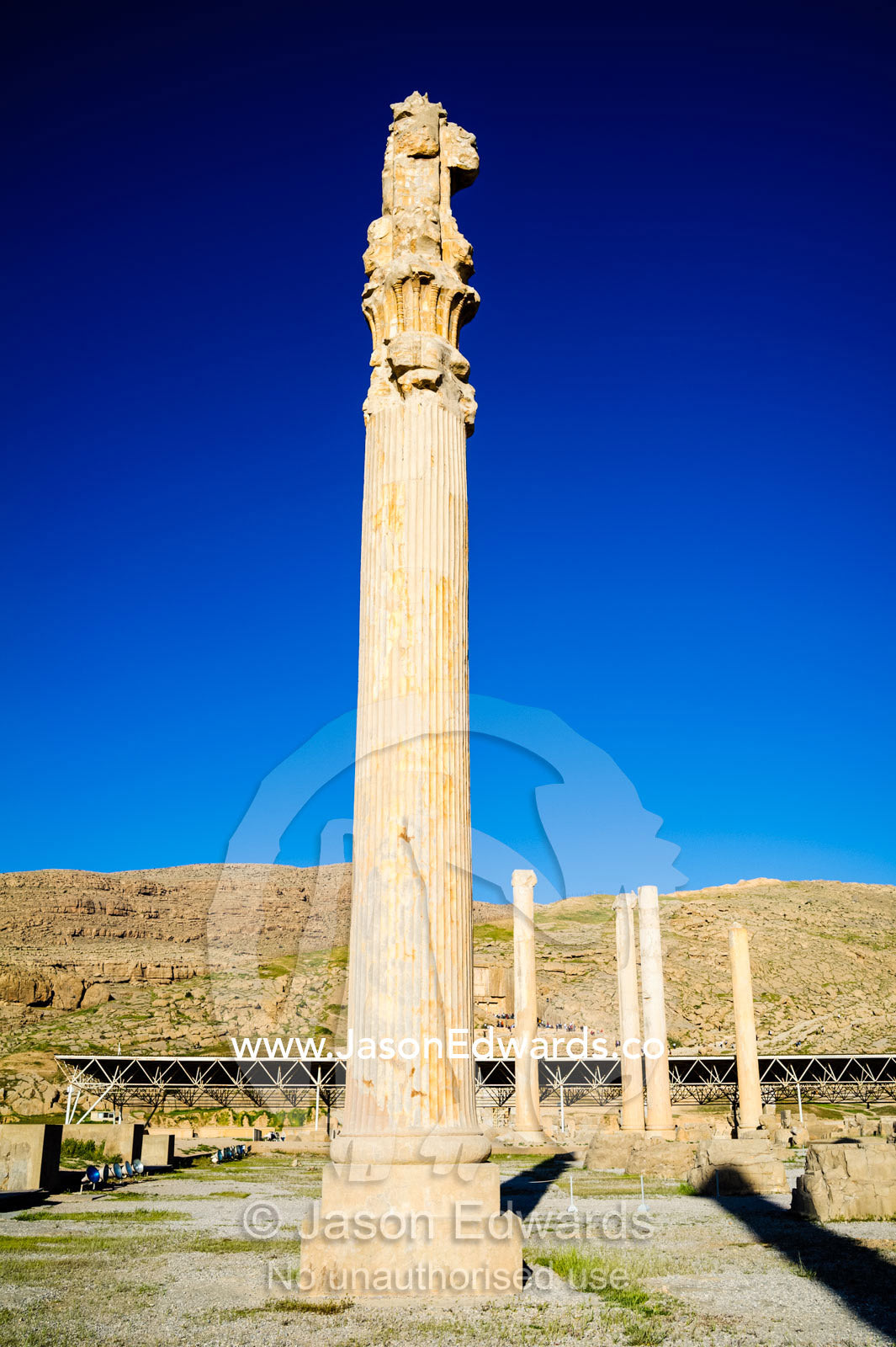 The towering stone columns of the Apandana Palace rising into a clear blue sky. Persepolis, Shiraz, Fars Province, Islamic Republic of Iran.