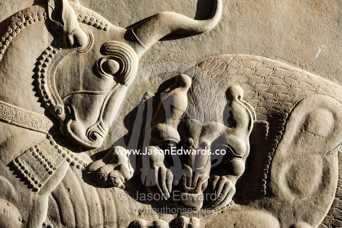A limestone frieze of a lion battling a bull carved into a stone wall at Persepolis. Persepolis, Shiraz, Fars Province, Islamic Republic of Iran.