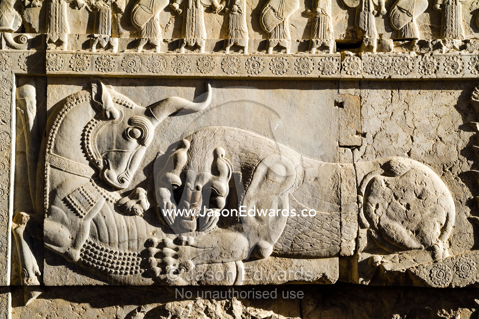 A limestone frieze of a lion battling a bull carved into a stone wall at Persepolis. Persepolis, Shiraz, Fars Province, Islamic Republic of Iran.