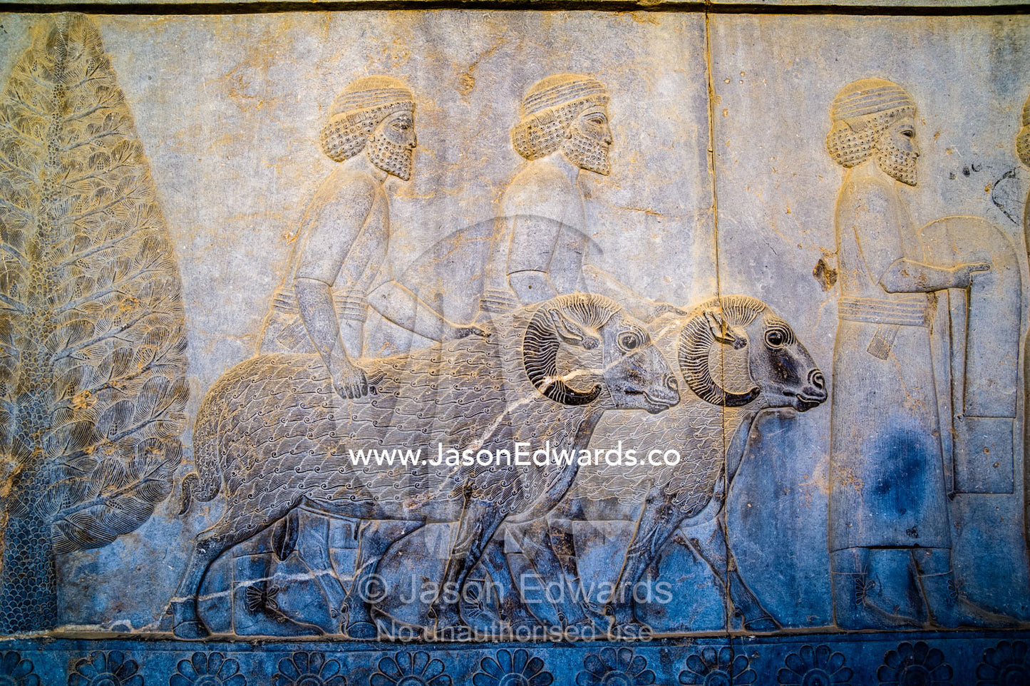 Carved bas reliefs depict envoys of the subject nations of Persia bringing gifts to the King. Persepolis, Shiraz, Fars Province, Islamic Republic of Iran.
