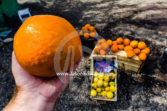 A giant orange for sale at a roadside stall in the desert selling citrus fruit. Kashan County, Isfahan Province, Islamic Republic of Iran.