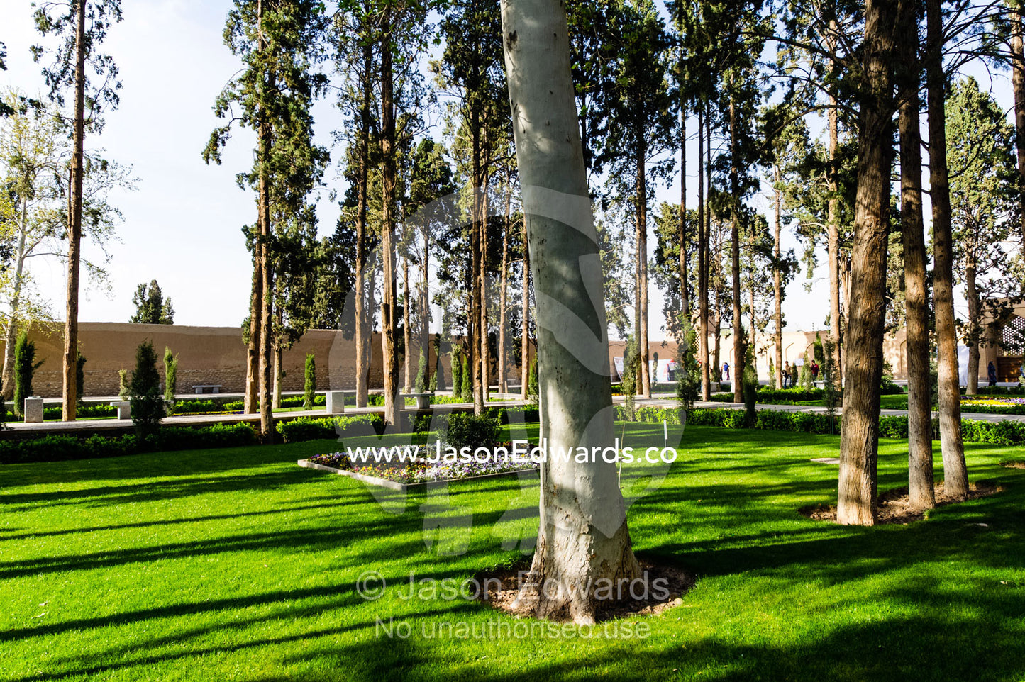 Manicured lawns and rows of trees in an historical Persian garden. Fin Garden, Kashan, Isfahan, Islamic Republic of Iran.