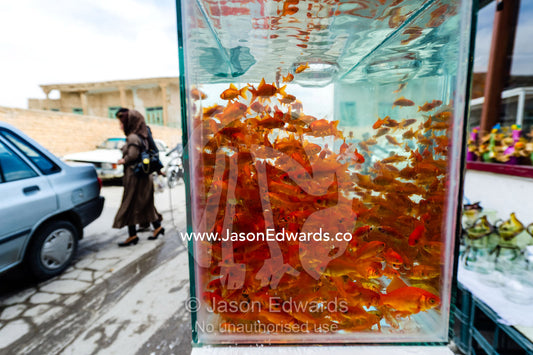 A fish tank full of red goldfish in a market for Nowruz the Iranian New Year. Isfahan, Isfahan Province, Islamic Republic of Iran.