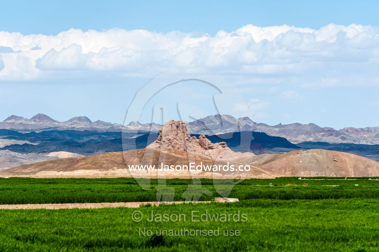 Bright green crops on irrigated farm land in the desert. Nain, Nain County, Isfahan Province, Iran.