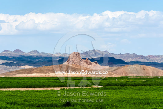 Bright green crops on irrigated farm land in the desert. Nain, Nain County, Isfahan Province, Iran.