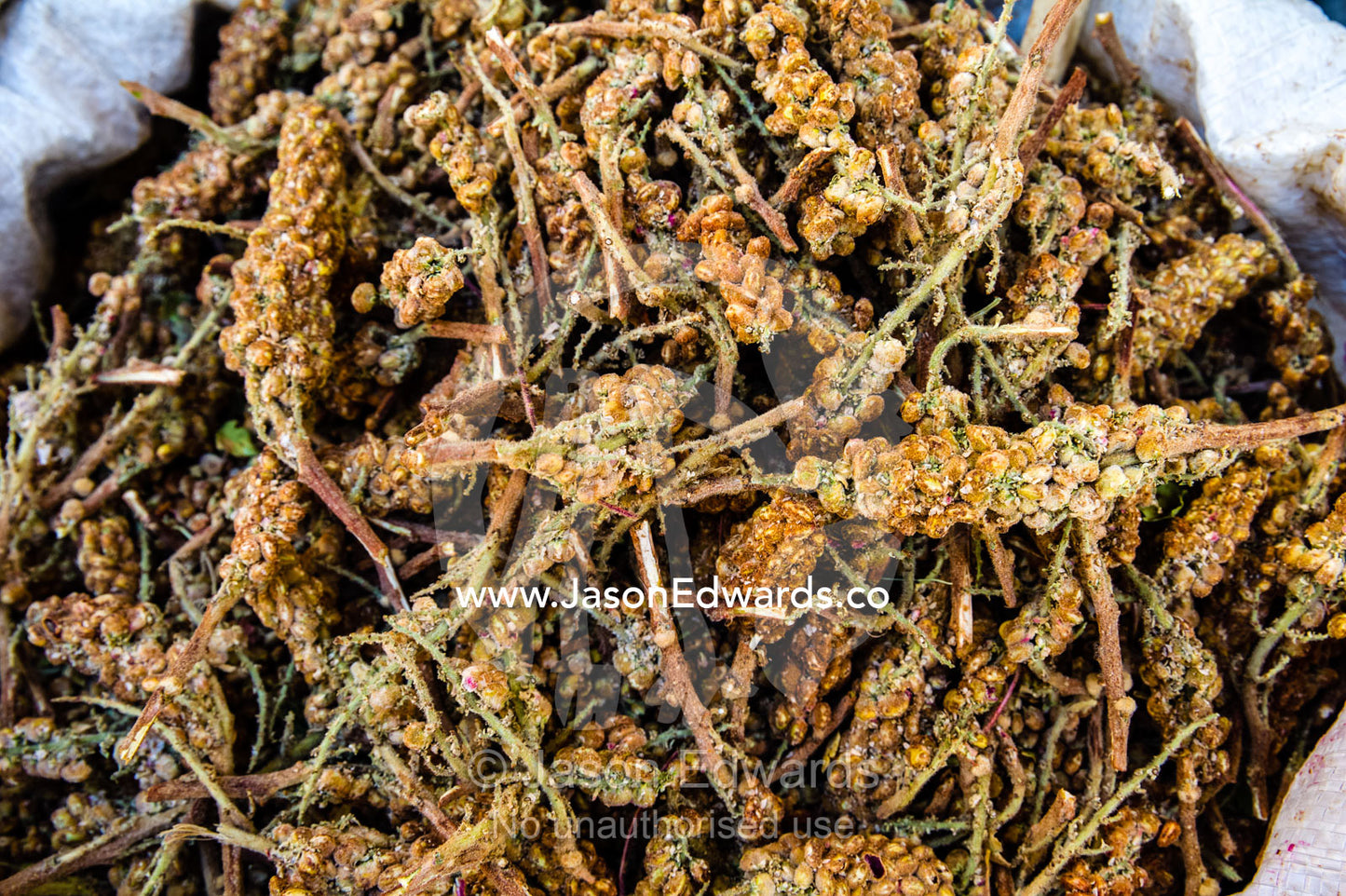 Rhus coriaria also called sumac for cooking and in kebabs for sale in a fresh food market. Shiraz, Fars Province, Islamic Republic of Iran.