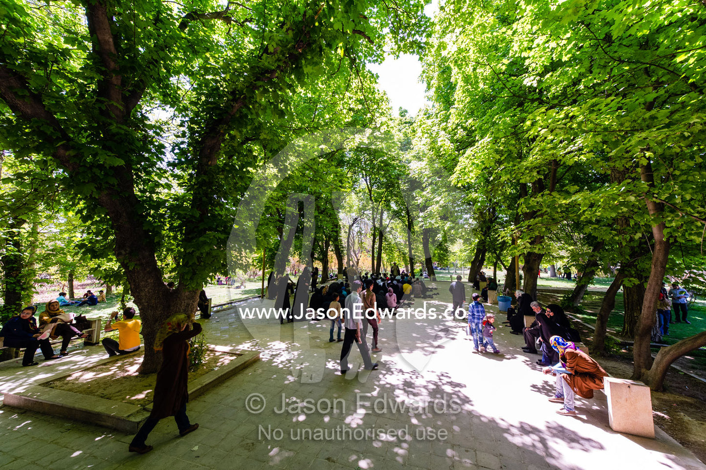 Tourists enjoying the dappled light filtering through a tree canopy in a garden. Eram Garden, Shiraz, Fars Province, Islamic Republic of Iran.