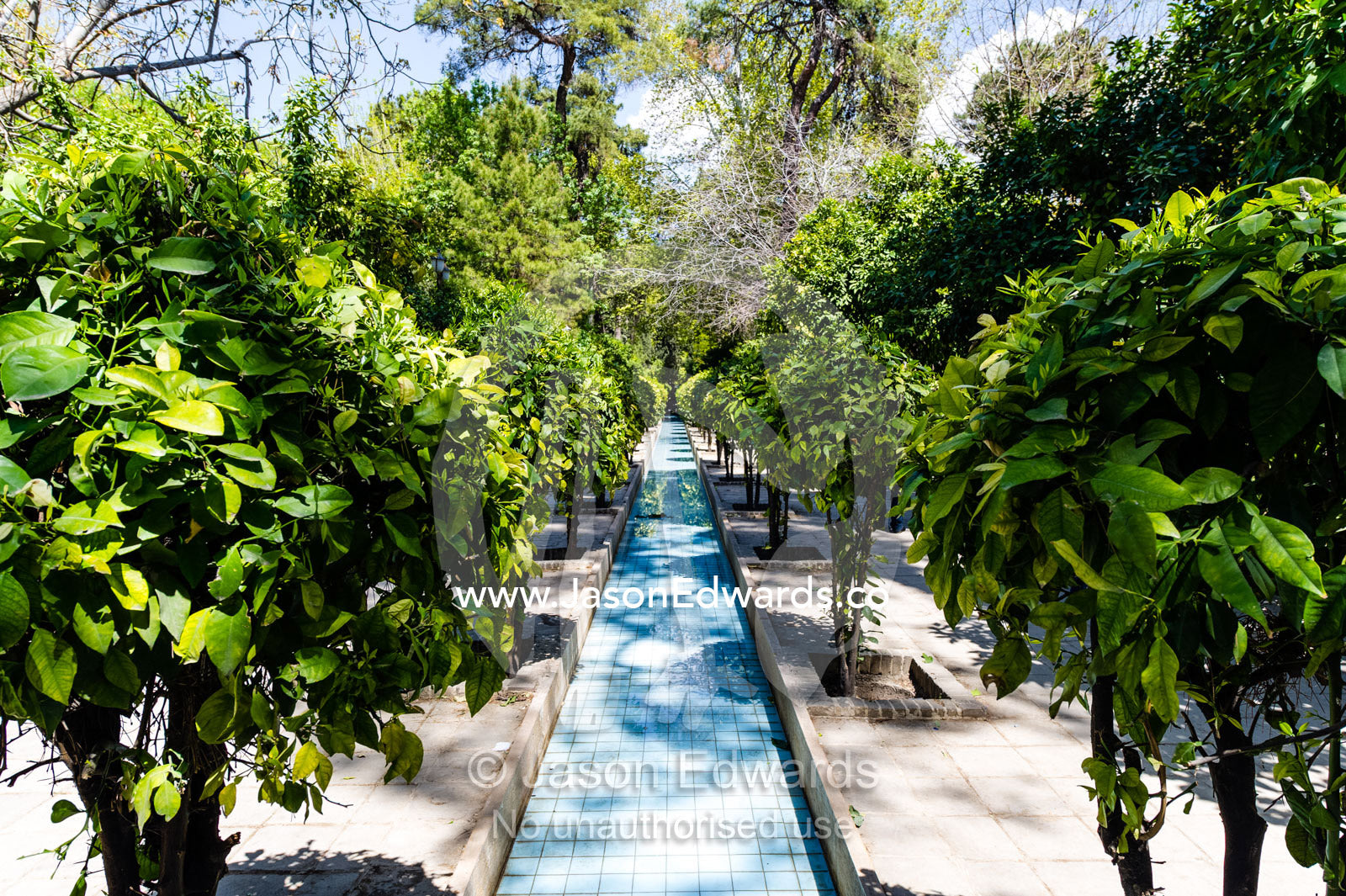 A water feature acts an aquaduct in a traditional garden. Eram Garden, Shiraz, Fars Province, Islamic Republic of Iran.