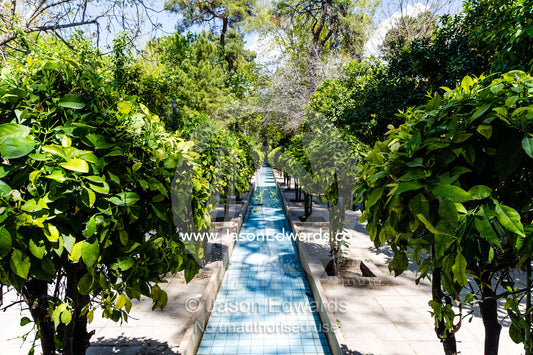 A water feature acts an aquaduct in a traditional garden. Eram Garden, Shiraz, Fars Province, Islamic Republic of Iran.