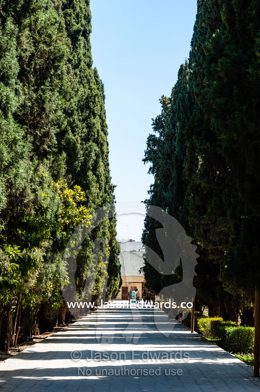 A long path in a traditional garden between columns of cypress trees. Eram Garden, Shiraz, Fars Province, Islamic Republic of Iran.
