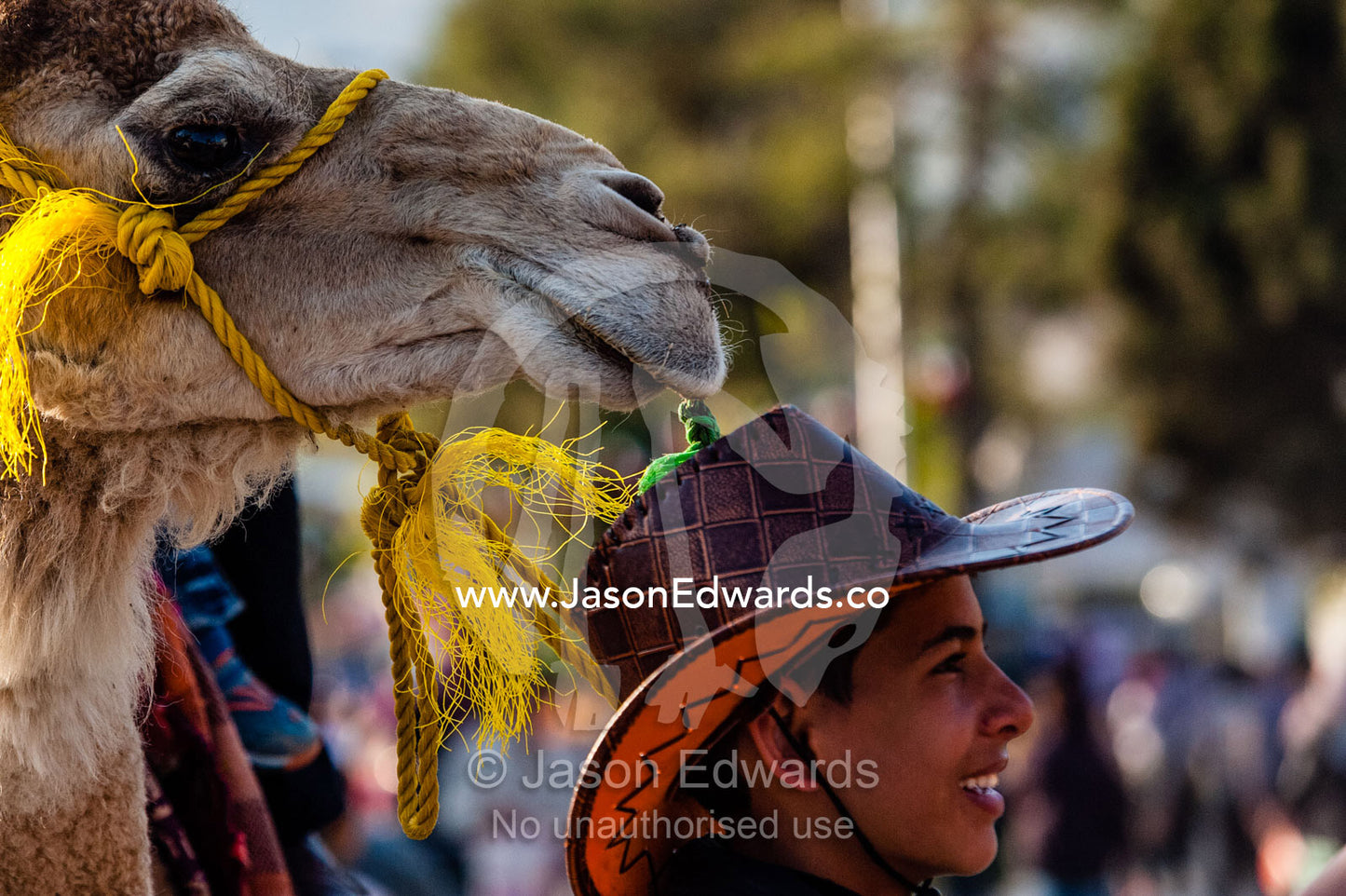 A young boy stands with his camel waiting to take Iranian tourists for a ride at Nowruz Iranian New Year. Tomb of Hafez, Shiraz, Fars Province, Islamic Republic of Iran.