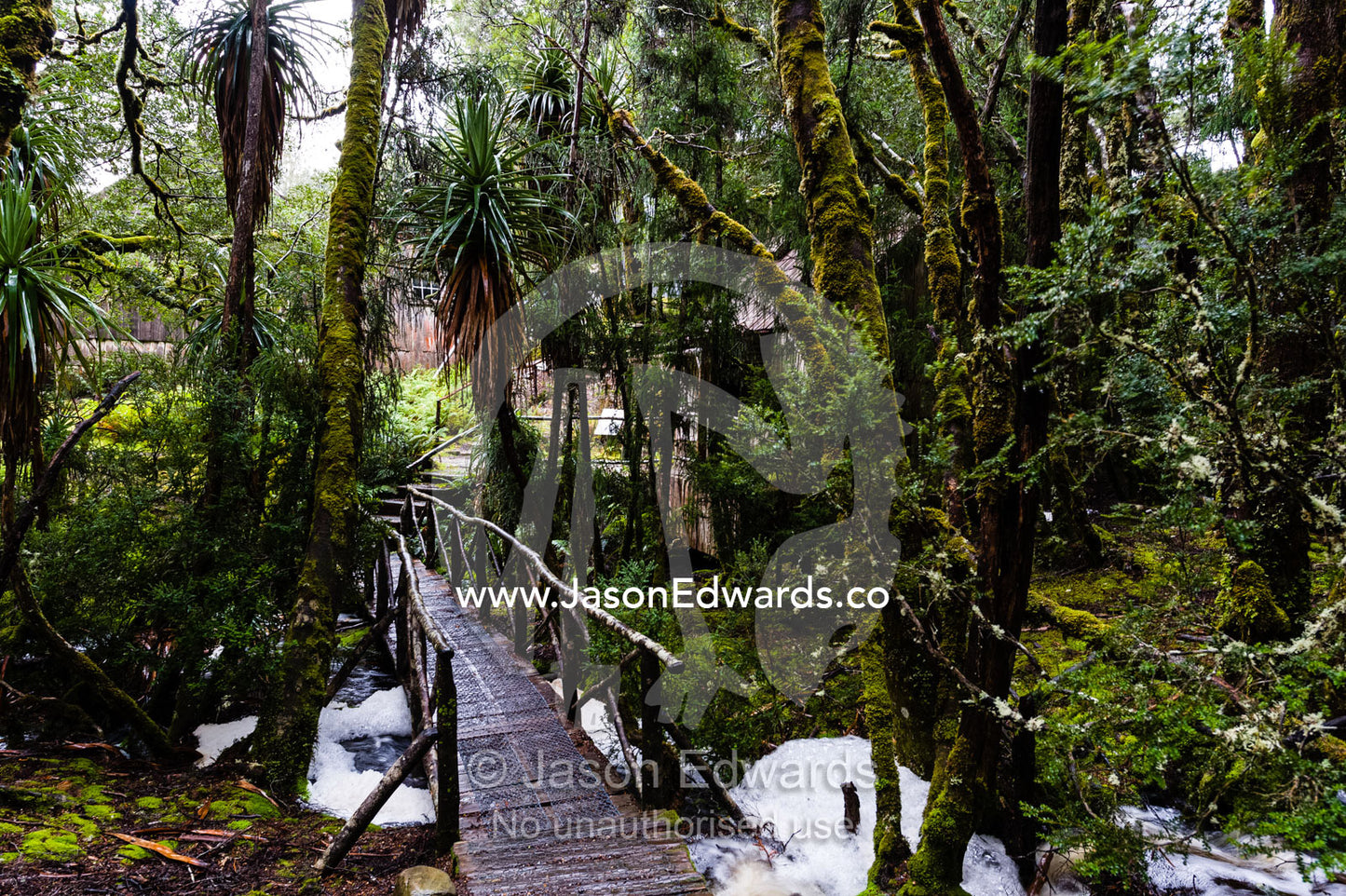 A timber footbridge crosses a swollen stream during a rainstorm in a cool temperate rainforest. Waldheim Chalet, Cradle Mountain, Lake St Clair National Park, Tasmania, Australia.
