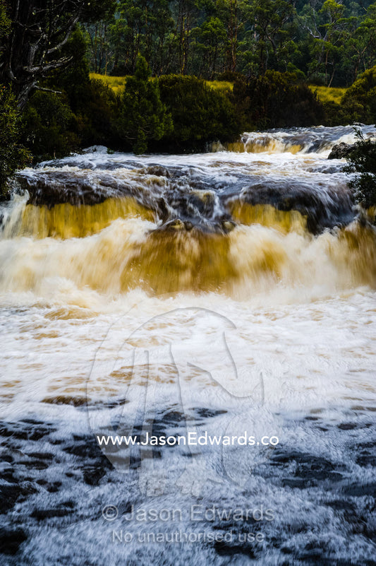 A swollen river cascades over a waterfall during a rainstorm. Cradle Mountain, Lake St Clair National Park, Tasmania, Australia.