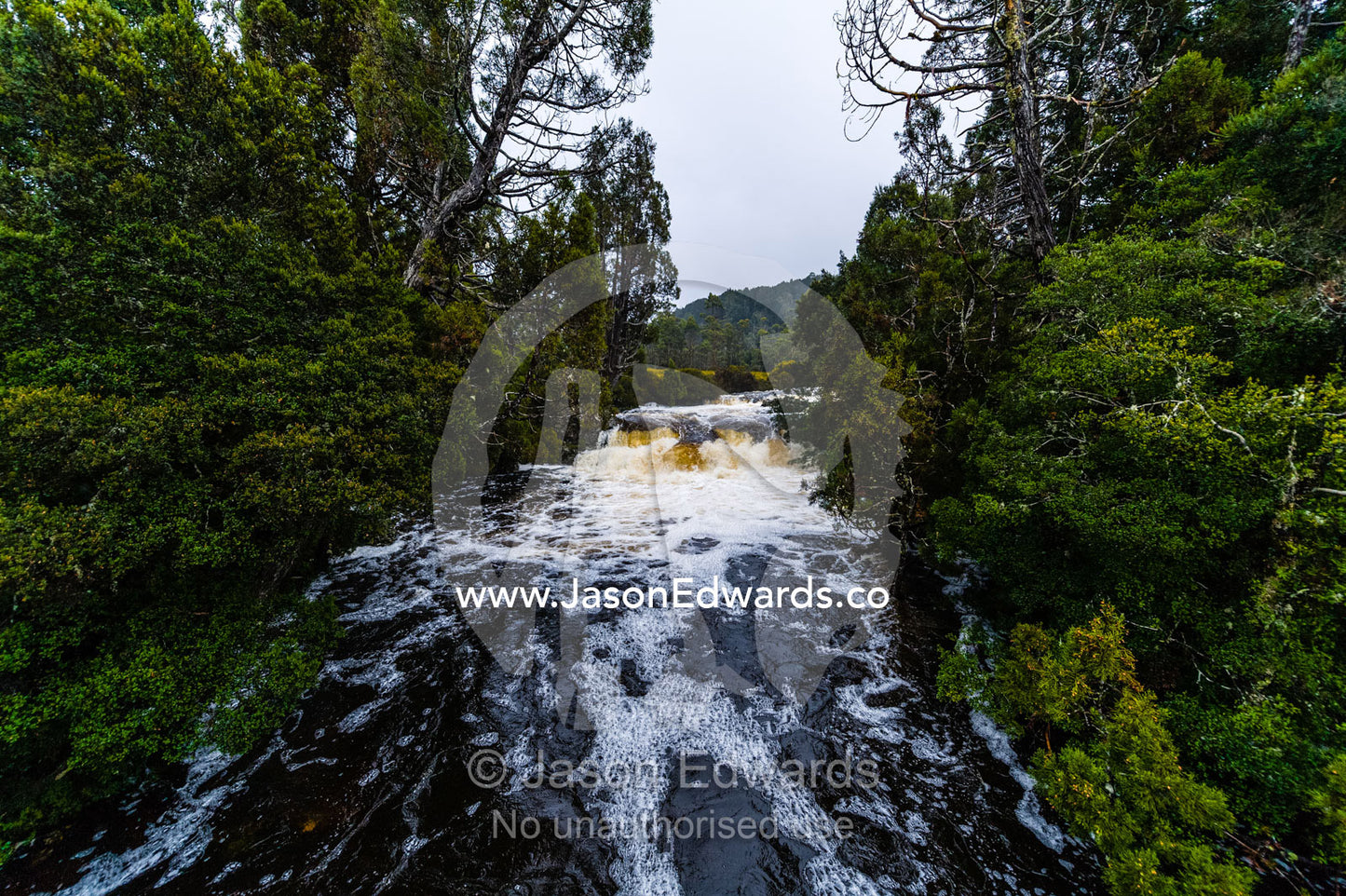 A swollen river cascades over a waterfall during a rainstorm. Cradle Mountain, Lake St Clair National Park, Tasmania, Australia.