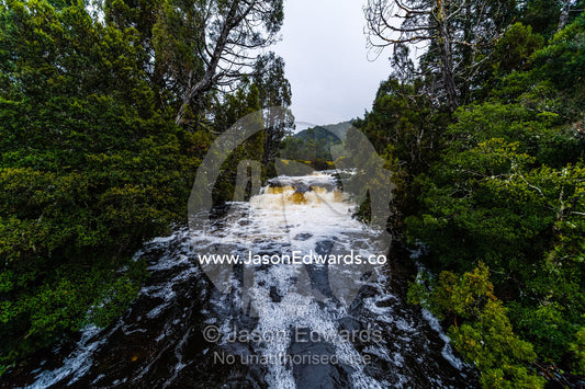 A swollen river cascades over a waterfall during a rainstorm. Cradle Mountain, Lake St Clair National Park, Tasmania, Australia.