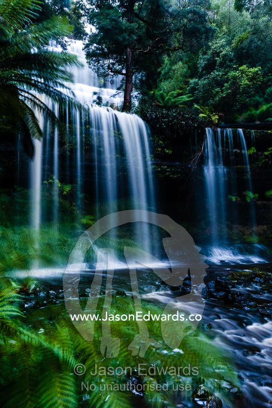 A misty curtain of water cascades down a tiered waterfall in a cool temperate rainforest. Mount Field National Park, Tasmania, Australia.