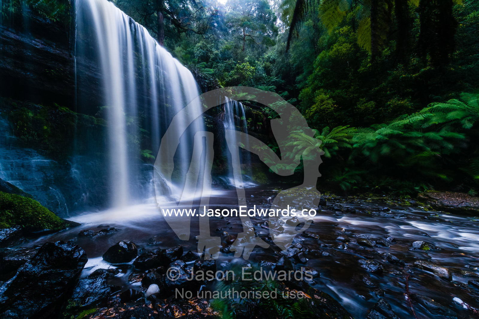 A misty curtain of water cascades down a tiered waterfall in a cool temperate rainforest. Mount Field National Park, Tasmania, Australia.