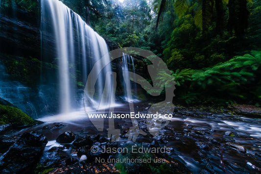 A misty curtain of water cascades down a tiered waterfall in a cool temperate rainforest. Mount Field National Park, Tasmania, Australia.