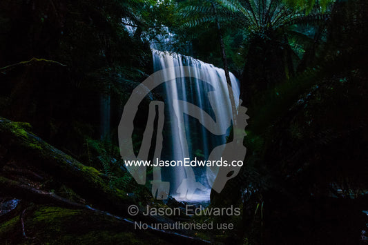 A misty curtain of water cascades down a tiered waterfall in a cool temperate rainforest. Mount Field National Park, Tasmania, Australia.