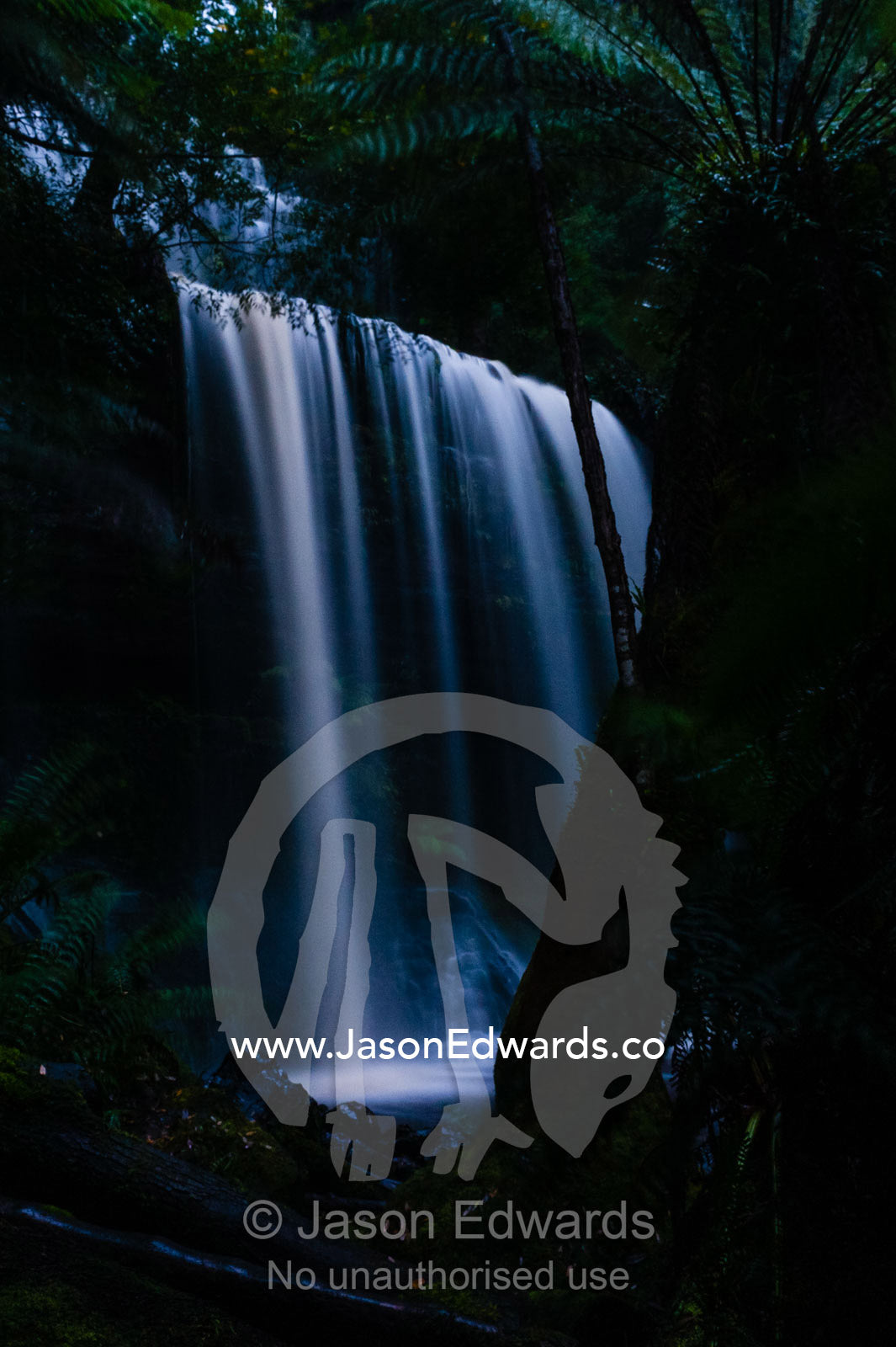 A misty curtain of water cascades down a tiered waterfall in a cool temperate rainforest. Mount Field National Park, Tasmania, Australia.