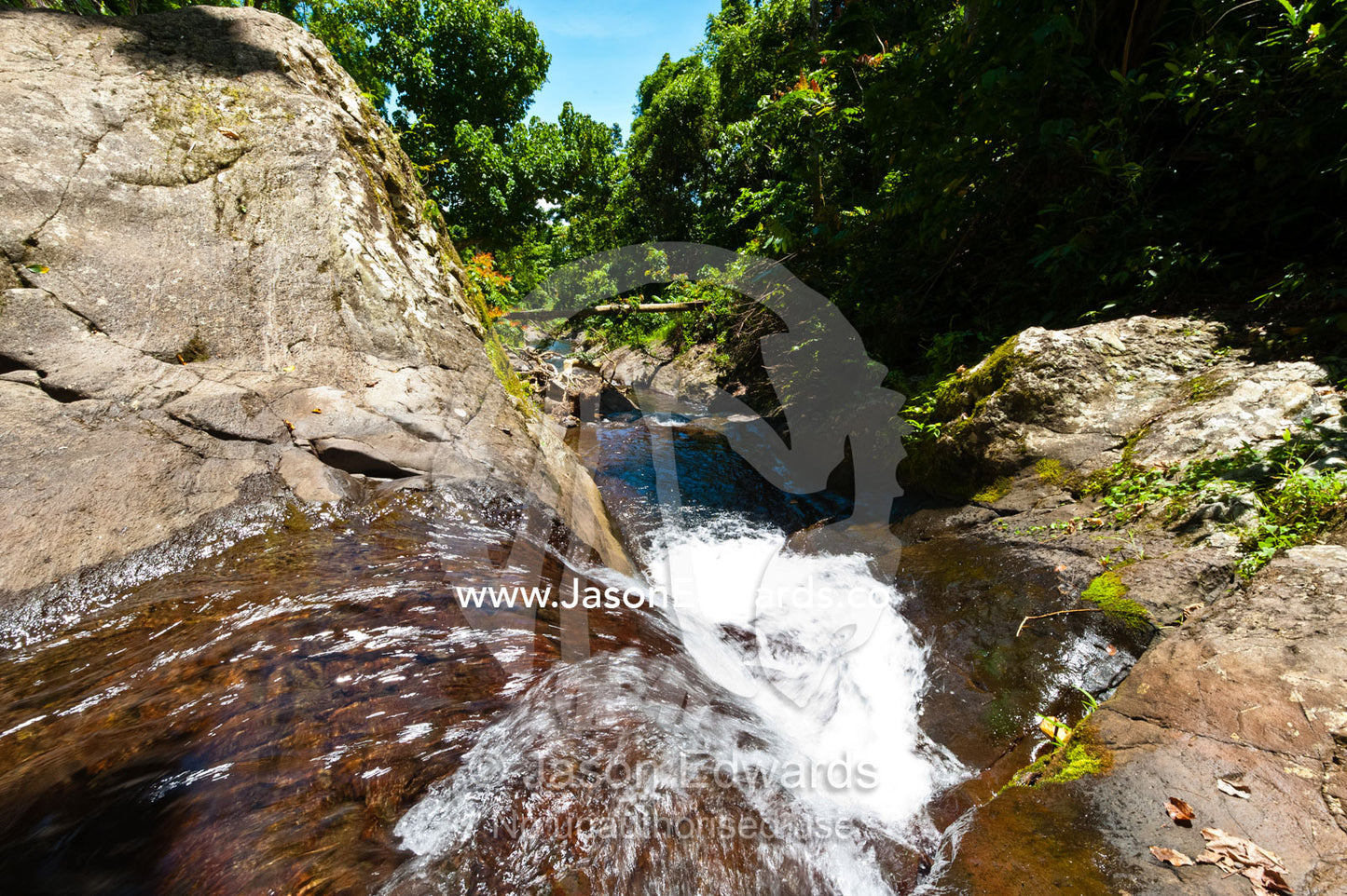 A waterfall cascades down a rocky gully on a tropical island. Waitavala Waterfall, Taveuni Island, Somosomo Strait, Pacific Ocean, Fiji Islands.