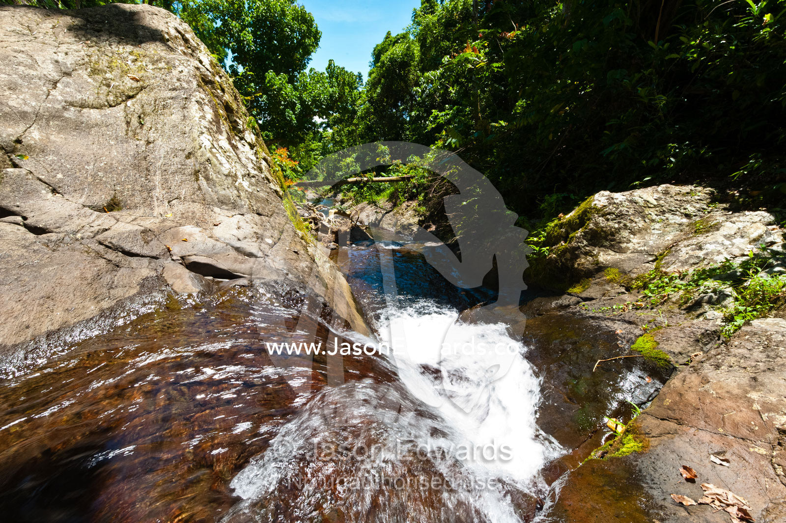 A waterfall cascades down a rocky gully on a tropical island. Waitavala Waterfall, Taveuni Island, Somosomo Strait, Pacific Ocean, Fiji Islands.