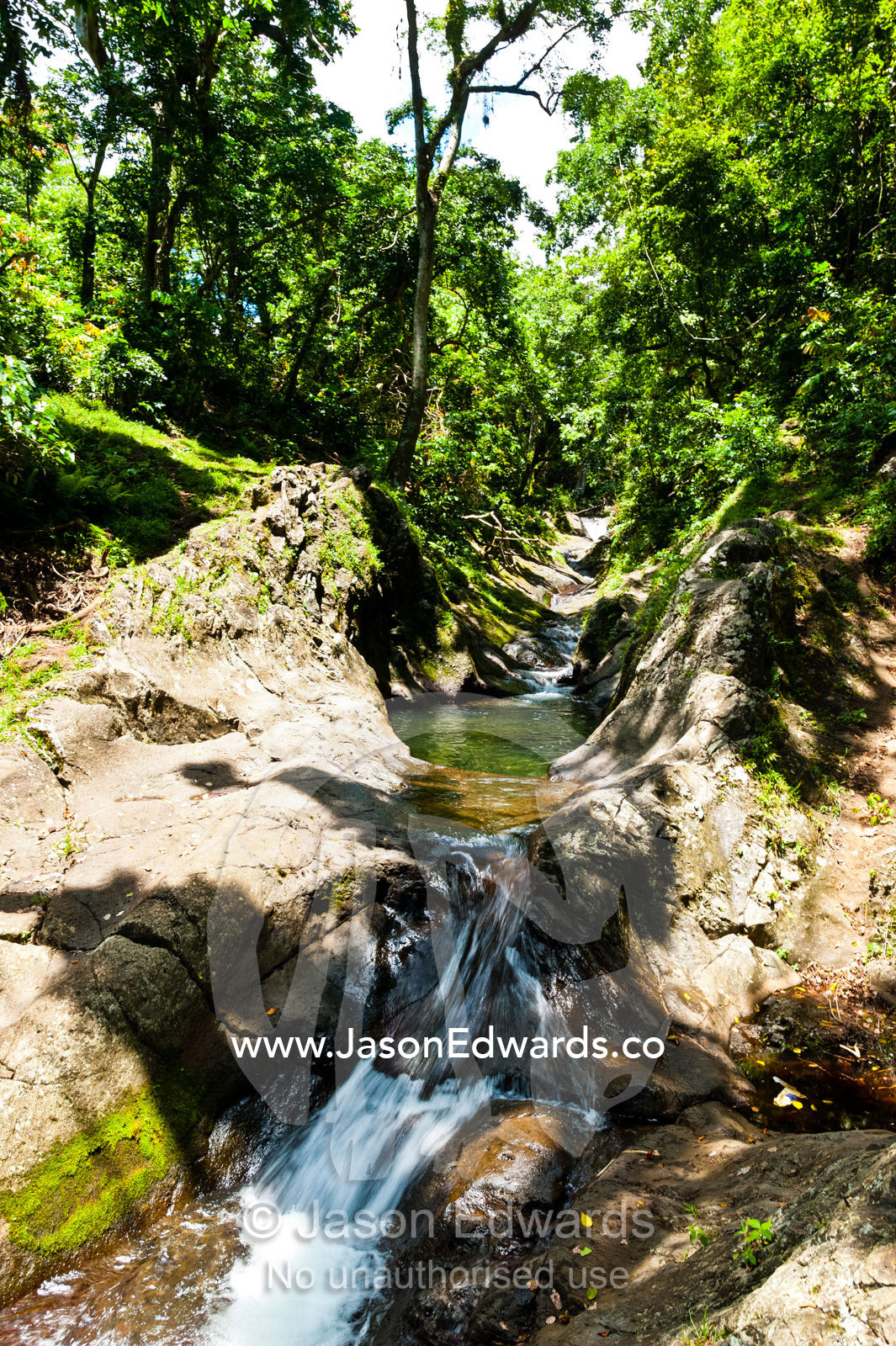 A waterfall cascades down a rocky gully on a tropical island. Waitavala Waterfall, Taveuni Island, Somosomo Strait, Pacific Ocean, Fiji Islands.