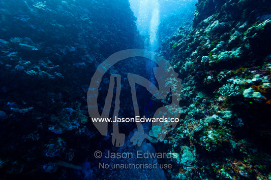 Scuba divers swimming through a coral canyon in a tropical reef. Kokod Point, Ringgold Atolls, Pacific Ocean, Fiji Islands.