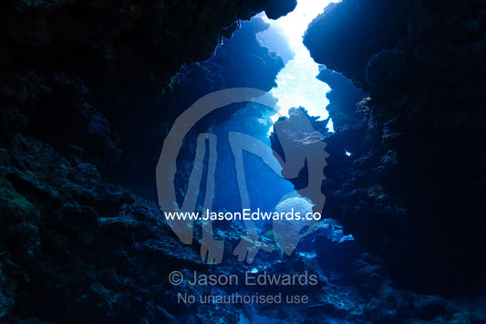 Sunlight for the ocean surface entering an underwater volcanic cave in a reef. Kokod Point, Ringgold Atolls, Pacific Ocean, Fiji Islands.