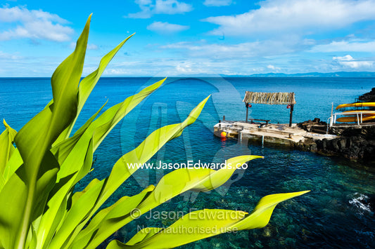 A scuba dive boat jetty on a tropical island. Taveuni Island, Somosomo Strait, Pacific Ocean, Fiji Islands.