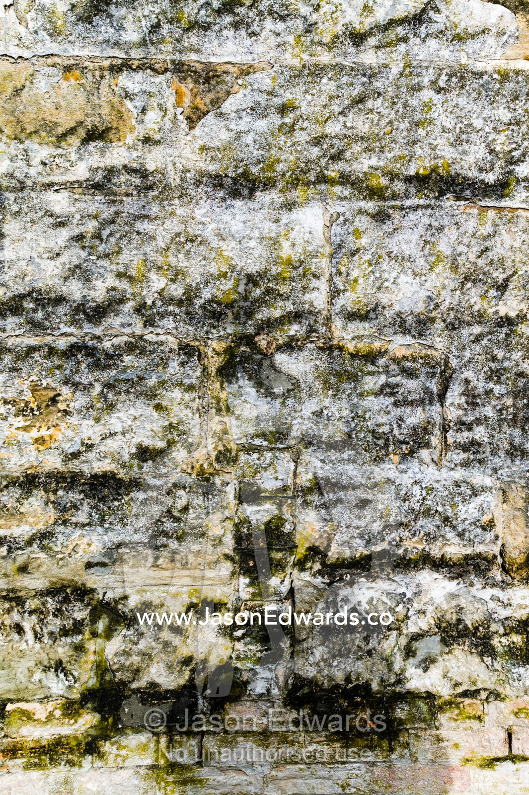The weathered texture of a sandstone retaining wall constructed by convicts. Port Arthur Historic Site, Port Arthur, Tasmania,
Australia.
