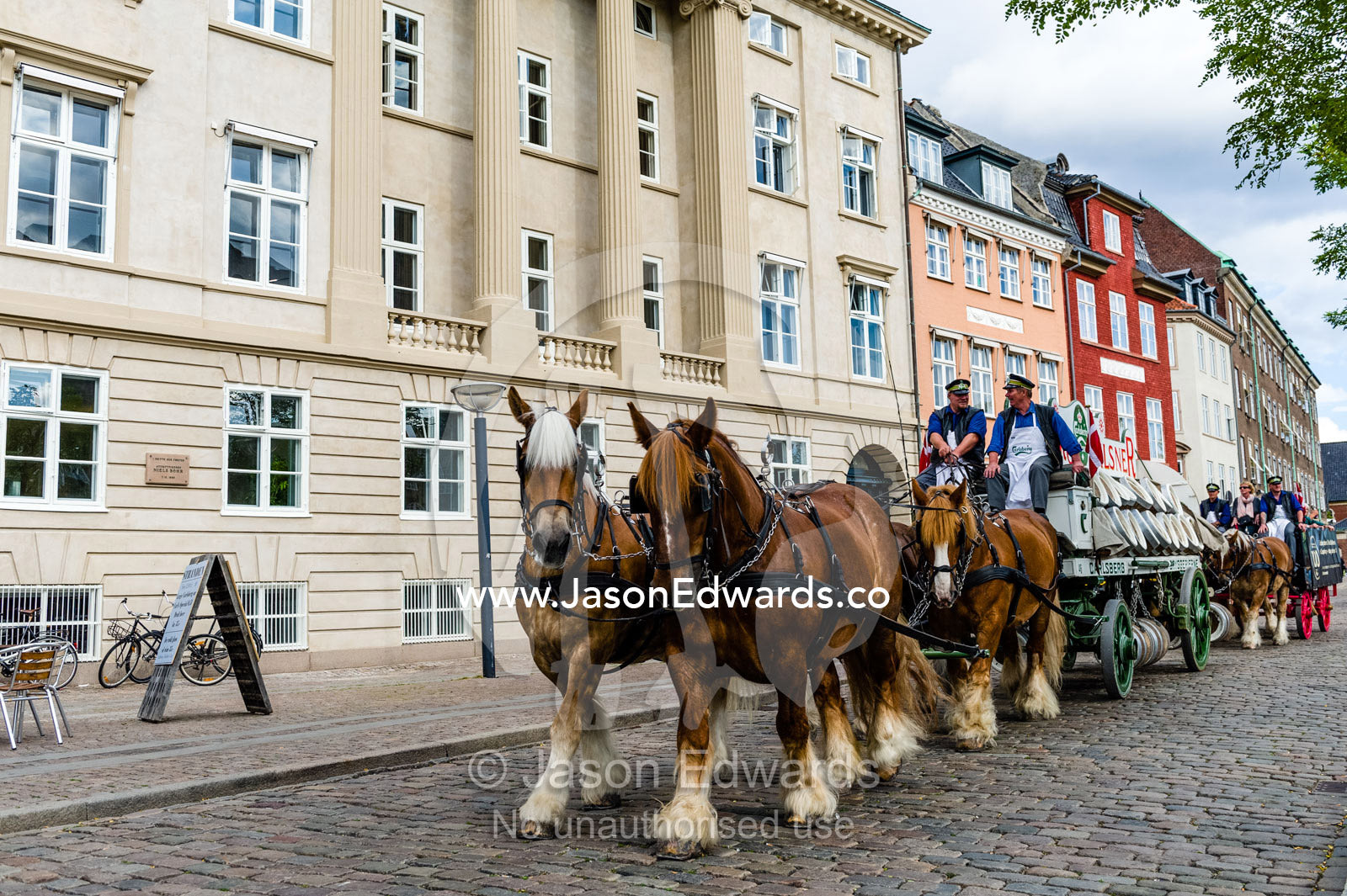 A team of draft horses pulling a beer wagon along cobblestone streets. Copenhagen, Denmark.