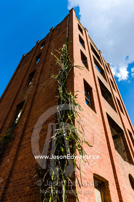 The empty facade and shell of an abandoned antique brewery in a rural town. Narrandera, New South Wales, Australia.