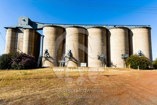 Wheat and grain silos at a rail crossing in a rural town. Mirrool, New South Wales, Australia.